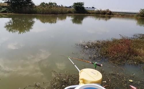 冬季钓鱼，容易爆护的天气汇总，鱼是否开口，天气才是根本