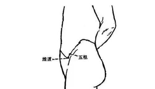  经脉|带脉不通，五脏失调！中医一招，疏通带脉，腰腹受了，百病远离！