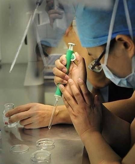胚胎|揭秘试管婴儿全过程(附图)，看完后心疼女性一万遍