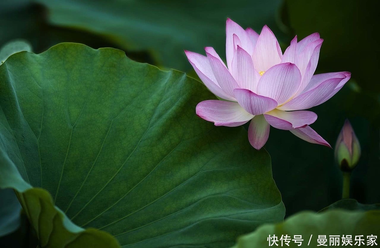 几个日子|阴历生日在此5天的孩子,有着富贵命,男女都有致富潜力