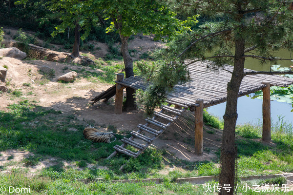 清凉夏日，拥抱星辰大海，西霞口的三天两夜之旅