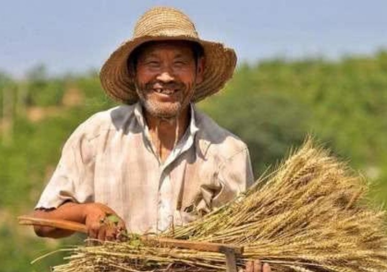 “三蛇闹春,十鼠抢粮,十一牛耕田”,那么2021年是丰收年吗