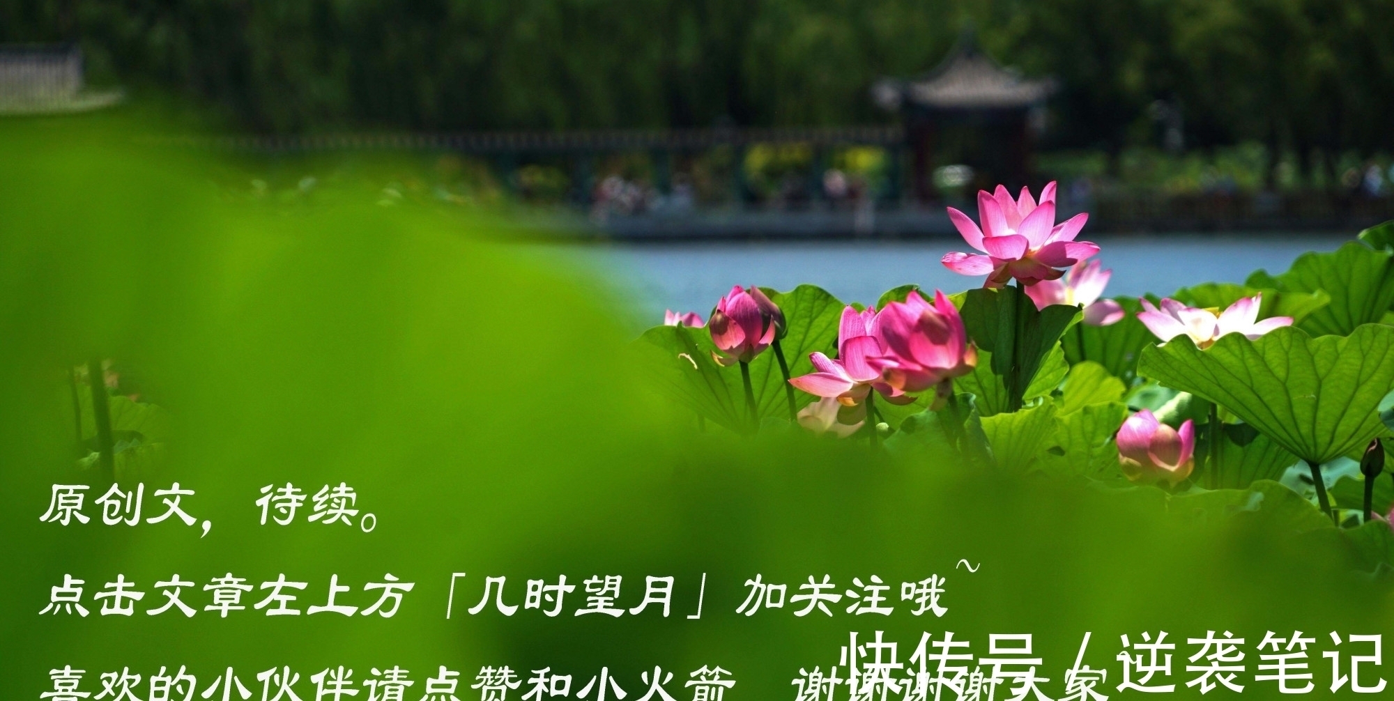 林逍!琴笛啸九天24|背着魏婴,蓝湛林逍拉开第一回合的较量