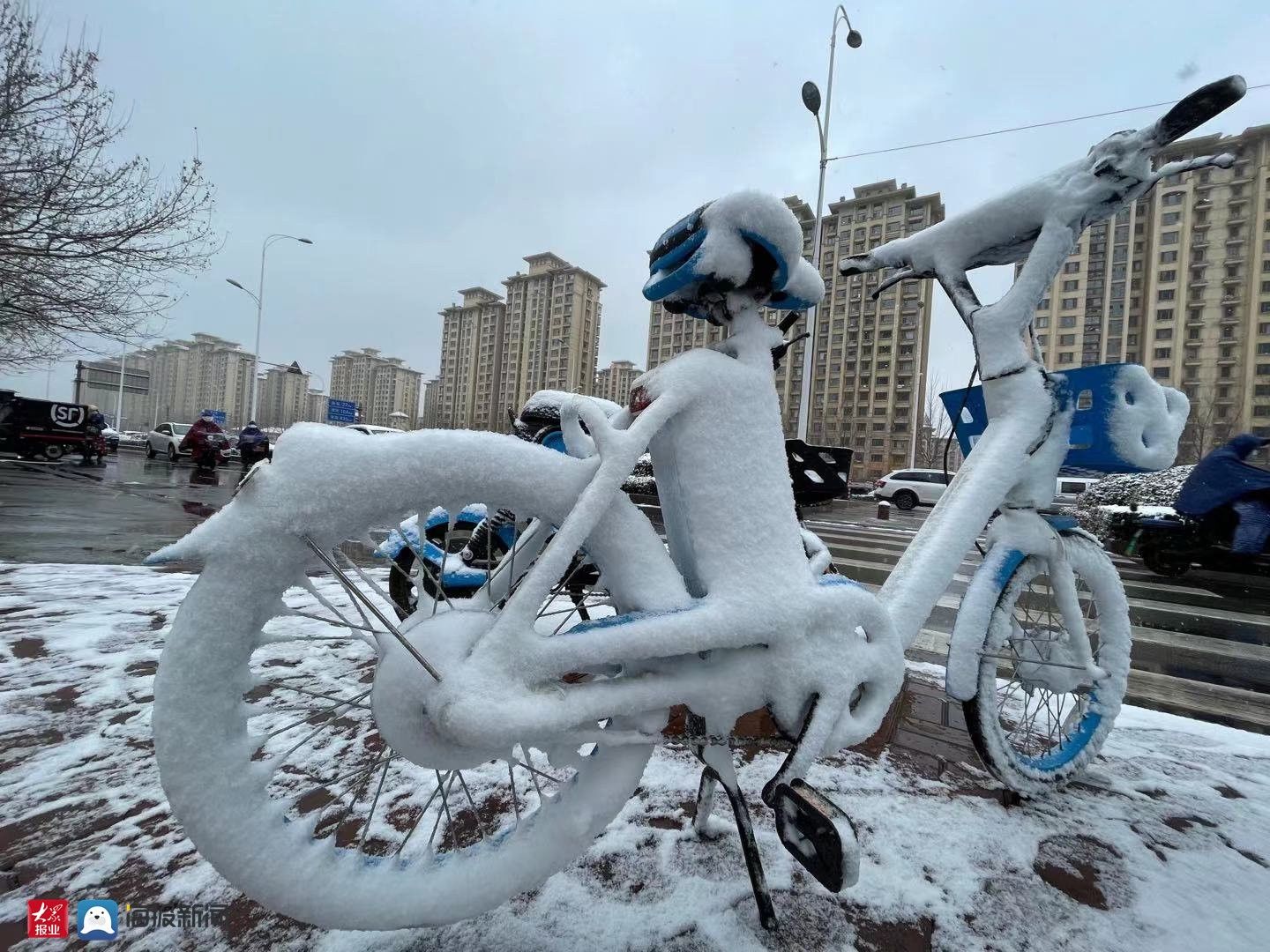 樱桃花|春雪润淄博，仙境落人间，一起赏雪吧！