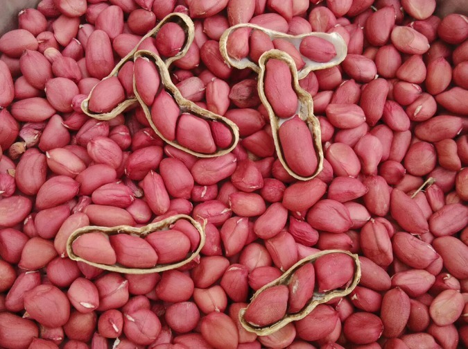 秋天别乱吃,多吃5种食材,顺应时节安稳过秋季,分享菜谱请收好!