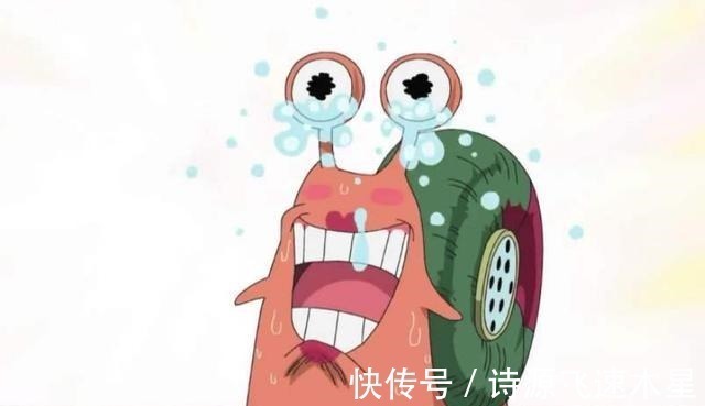 布鲁克|尾田的最佳设计,电话虫才是海贼王里的完美演员!黄猿赶快靠边站