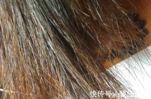 白头|土豆皮、生姜煮水洗头发，白头立即变黑？告诉你最靠谱的染发方法