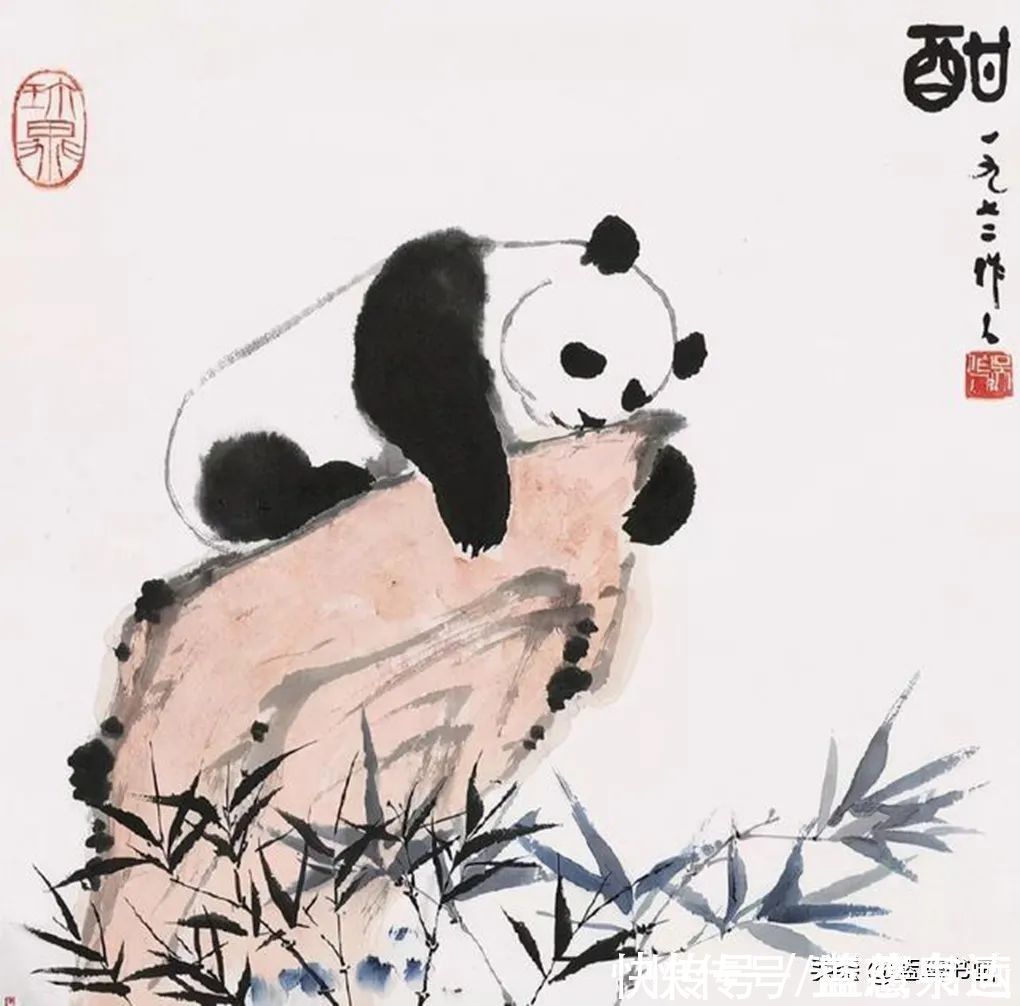 书画|徐悲鸿的高徒吴作人,创作的水墨熊猫绘画作品,极具传统韵味