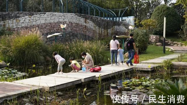 人与自然|秋高气爽宜出游，郑州园博园游人如织