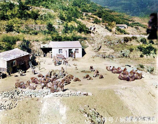 诡异|北京门头沟：1918年的潭柘寺，大殿内的法事看上去很诡异