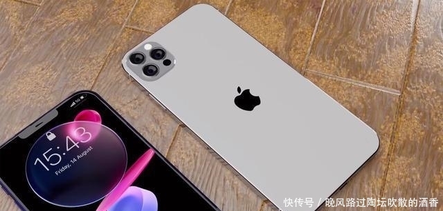 高达|iPhone12 Pro max进入百亿补贴，好评率高达98%