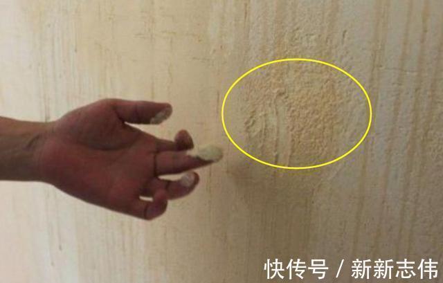 乳胶漆|乳胶漆、壁纸还有硅藻泥选哪个更好？老瓦工酒后终于讲真话了