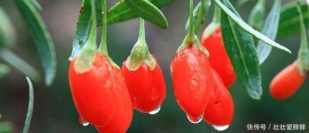 明日进入三九,别忘记吃1黑2红3白,顺应时节调饮食,平安过寒冬