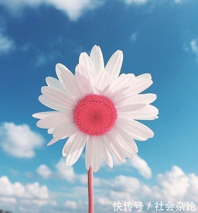 人生|令人受益匪浅的一段话,经典有理,能改变自己!