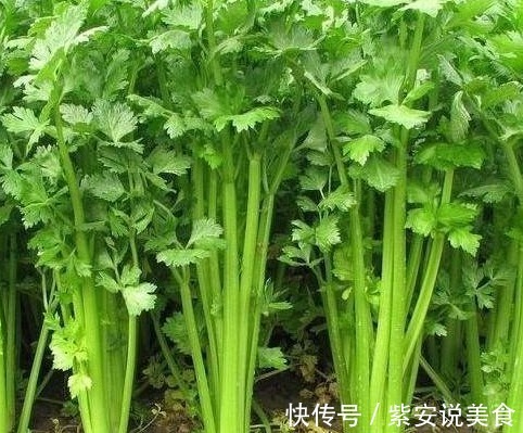 抗衰老|女人不想早衰,脸上爬满皱纹,3种蔬菜常吃,美容,抗衰老