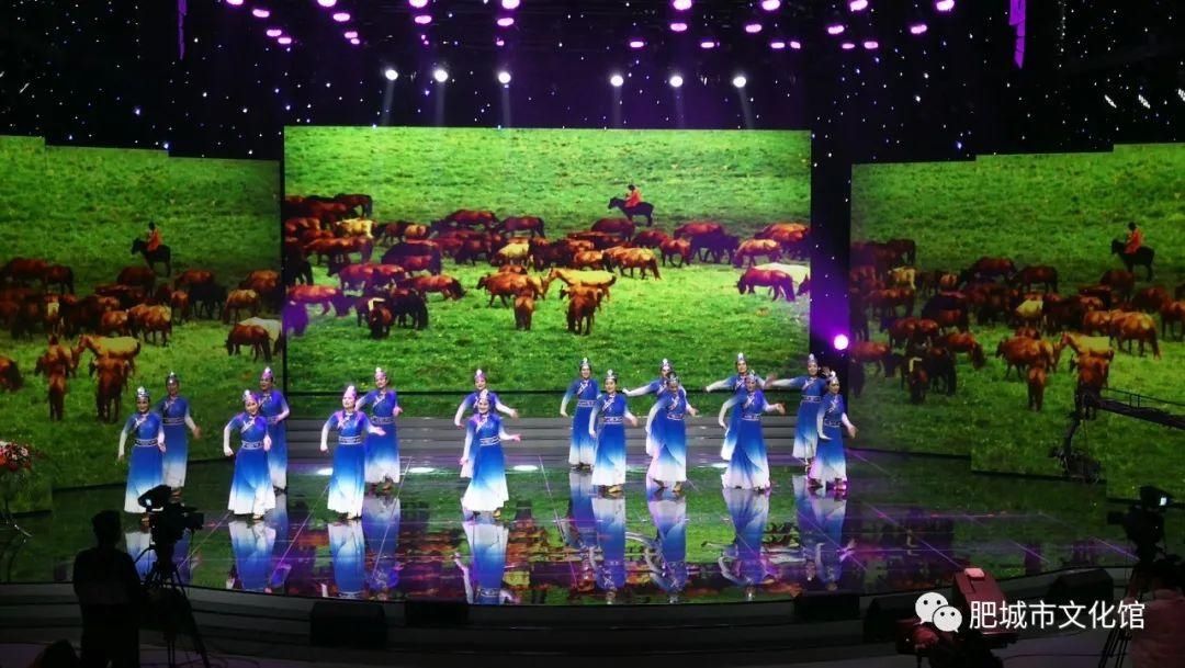 年度|肥城荣获泰安市2020年度广场舞及才艺大赛决赛两项大奖