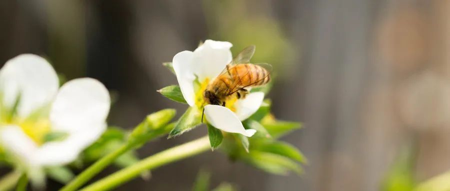养心安神|1个简单小动作,每天5分钟,就能养心安神、调节气血、身心都舒畅