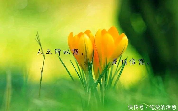 简单乐观心态短句,简短洋气,值得分享