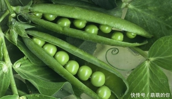 无特殊|爱喝酒的人,身上若没有3种“异常”,恭喜,你的肝还算不错!