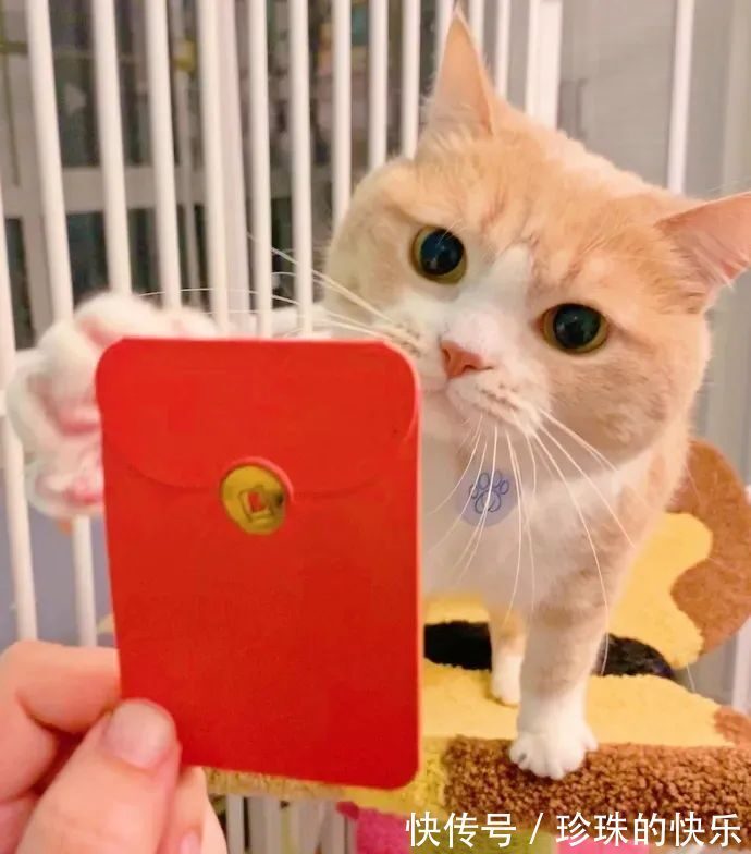 拜年|必存!新年拜年表情包丨第310期热门表情包