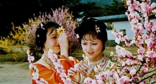 贾珍|红楼梦里，养小叔子的是谁和惜春身世有关，王熙凤贾蓉是臆断