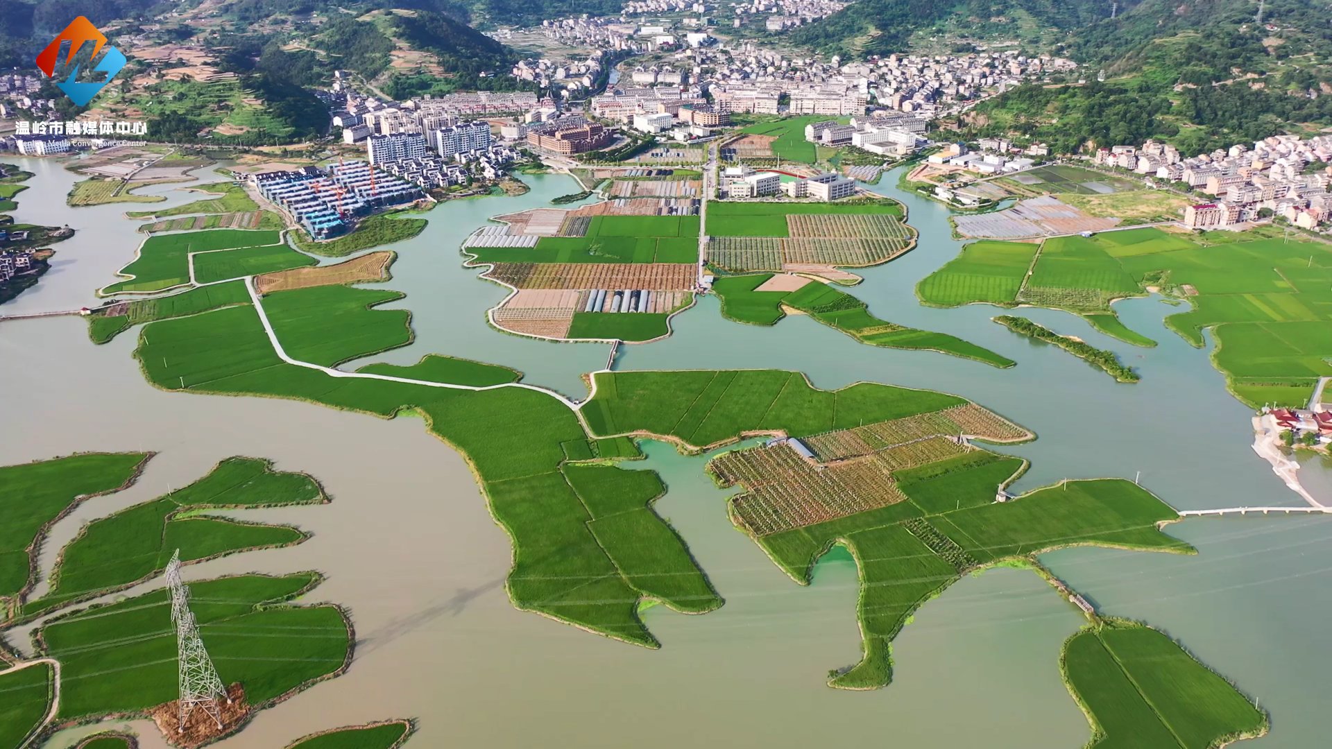 温岭坞根|青山绿水｜多彩温岭坞根，美丽大塘湿地