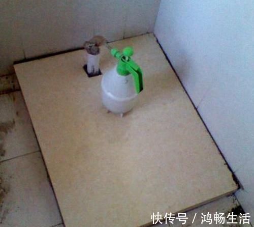 洗衣机|阳台上面,洗衣机和“这种”东西才是绝配,要装“这个”,特别实用