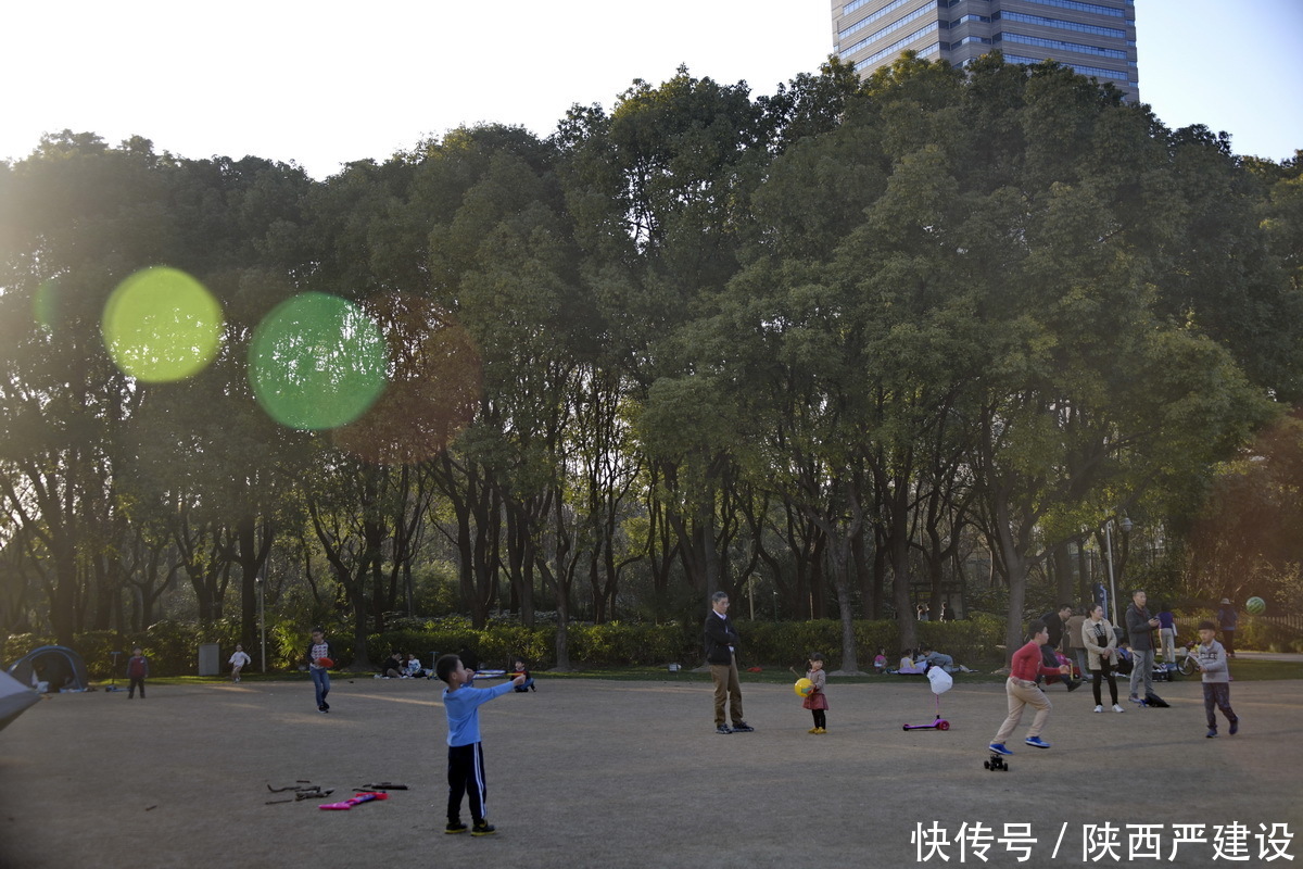 老年|新虹口花园的玉兰花开了【严建设】