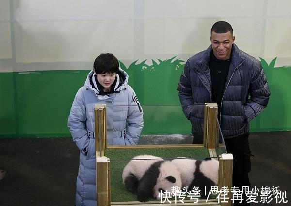 姆巴佩|梦幻联动!中国17岁奥运冠军合影姆巴佩,国宝在法国闪耀光芒
