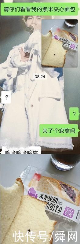 橘子树|“一棵自律的橘子树有多可怕……”哈哈哈可这不符合力学啊!