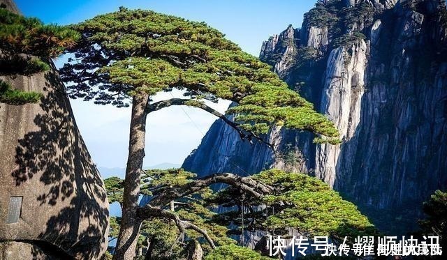 黄山|一生必去的5个景点，不去会抱憾终生，全去过的太幸福了