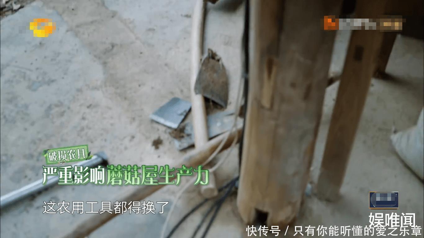 锯子|《向往5》黄磊智商下线,接连抱怨农具不给力,弹幕揭开了真相