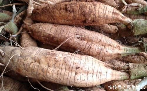 天然“青霉素”发现了,没事儿可劲儿吃,杀菌消炎,炎症或不敢“登门”