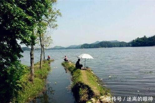 春天来了,大鲫鱼喜欢藏在这些位置,这些地方下竿一钓一个准!