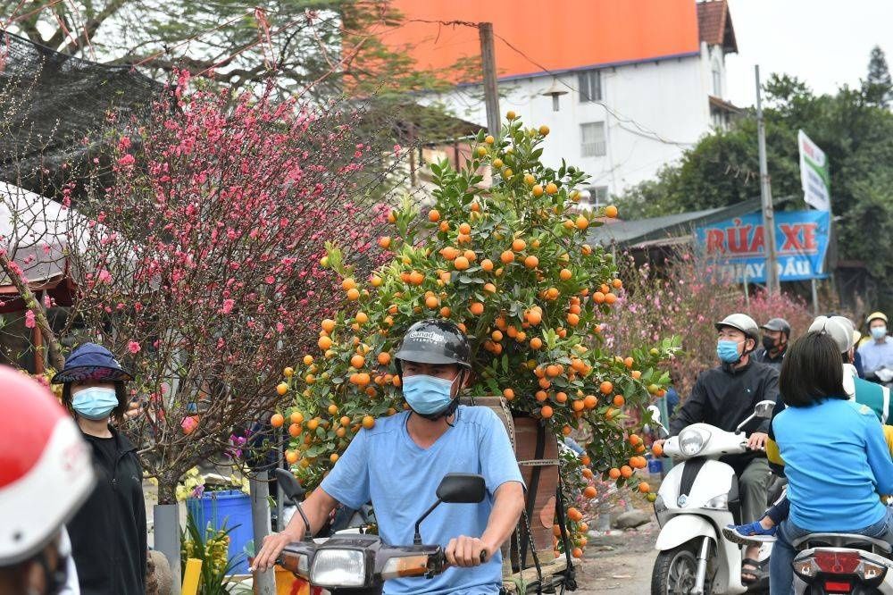 这个年夜饭吃粽子的国家，居然还有人属猫？