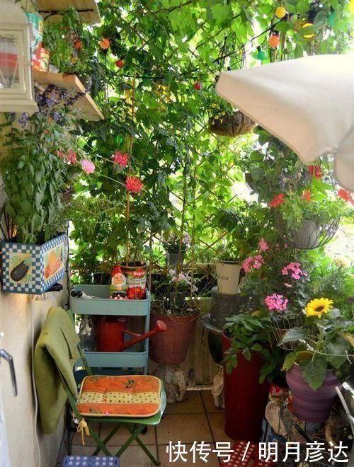 百叶帘|以后阳台我也不封，这样幕布搭木架上遮阳，跟豪宅小露台一样惬意