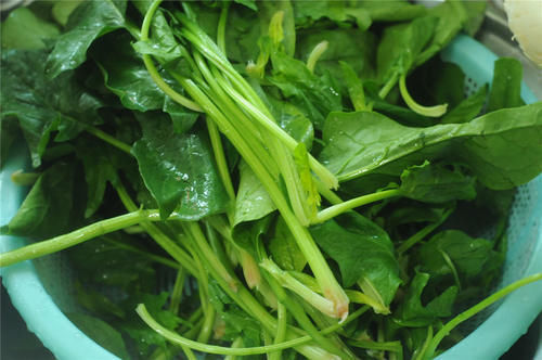 80岁奶奶雷都打不动,每天吃它,润肺止咳,多年咳嗽再也没犯过