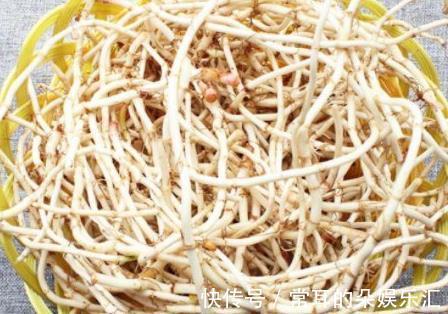 排毒养颜|减肥最该吃的菜，每周吃三次，清肠刮油，高营养高纤维，越吃越瘦