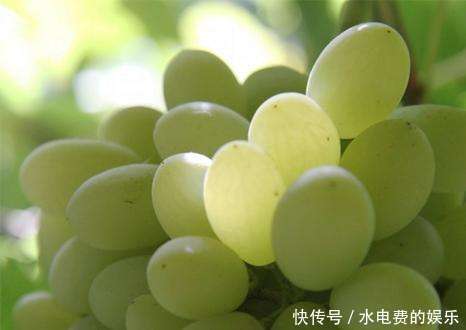 冬天养生常吃3种食物,清热排毒,刮油消脂,消除疲劳