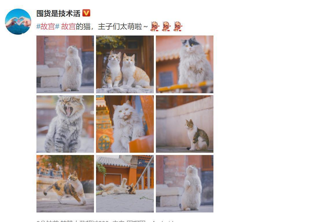 星球|故宫绝美雪景又火了!网友直呼梦回紫禁城,这两款神器更浪漫