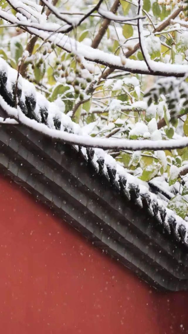 终究|终究是雪，温润了临潼的时光——