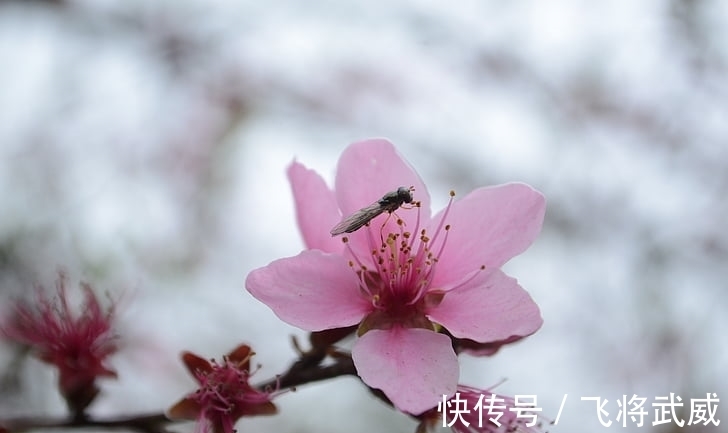 在职场|12月起，风生水起，咸鱼翻身的生肖