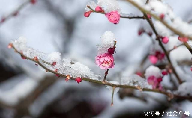 千古名言$陆游最经典的一首词,每一句都是千古名言,美得惊艳无人能出其右