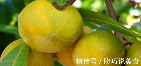 养生|冬天养生,常吃的食物,祛皱抗衰,提神醒脑、解除疲劳
