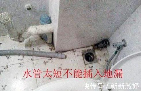 洗衣机|洗衣机排水管别傻傻插地漏了,入住就知有多不实用,聪明人都懂