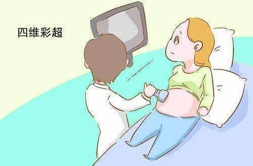 宝宝|四维总拍不到胎儿正脸?不想来回折腾,孕妈要提前做好这几点准备