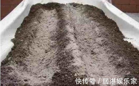 用以下食物养花，撒一把根壮叶绿蹭蹭疯长，一年到头不生虫