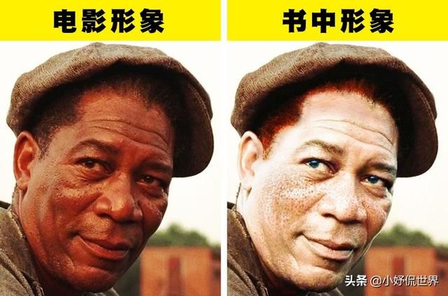 你对里德利斯的评价