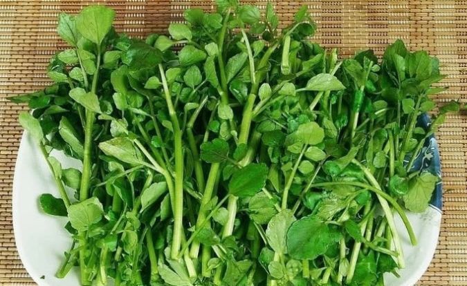 三月养肝正当时,隔三差五吃一次,排出毒素,肝脏越来越健康