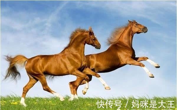 财气|“大金马”未来十年财气大爆发,尤其是66、78年的,45岁后靠谁?